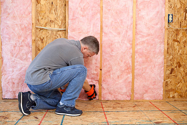 Professional Insulation Contractor in Milton, LA